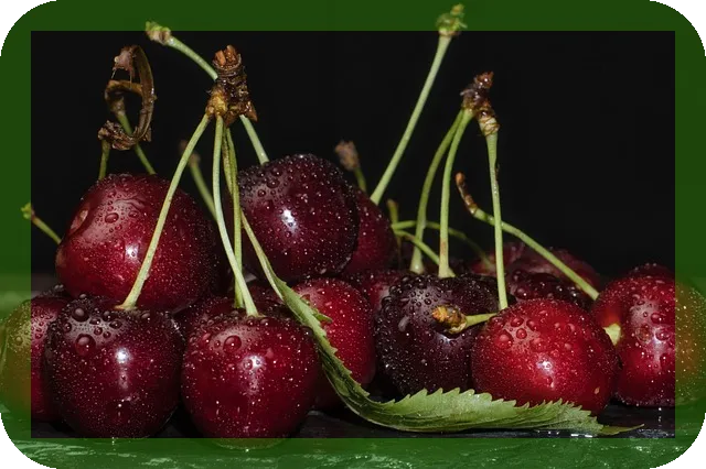 과일 야채 깨끗하게 씻는 여러가지방법으로 세균 걱정 없애기