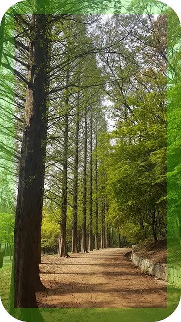 관광지 vs 휴양지 당신의 선택은?