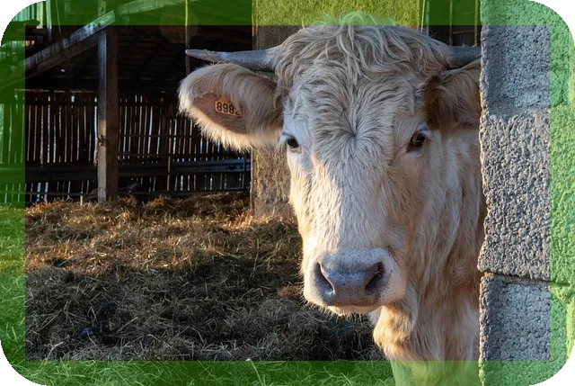 노후를 위한 연금펀드 운용가이드 알아보세요