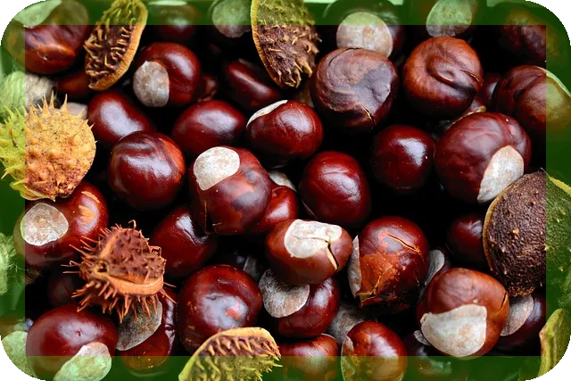 노후를 위한 종자돈 1억 모으는 현실적 가이드