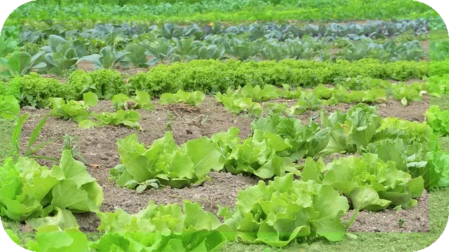 다리 쥐가 나고 피가 잘 안 통할 때 스트레칭으로 해결하기