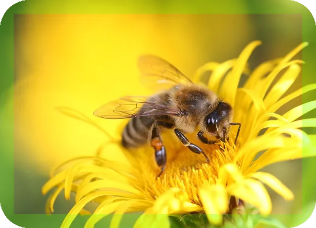 다리 쥐가 나고 피가 잘 안 통할 때 스트레칭으로 해결하기
