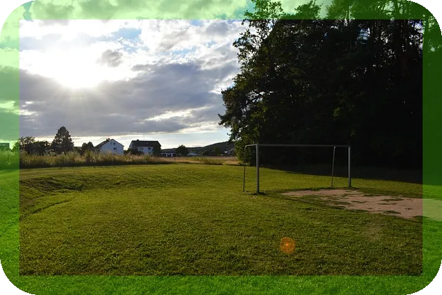 몸안의 독소를 배출하는 방법은 무엇일까