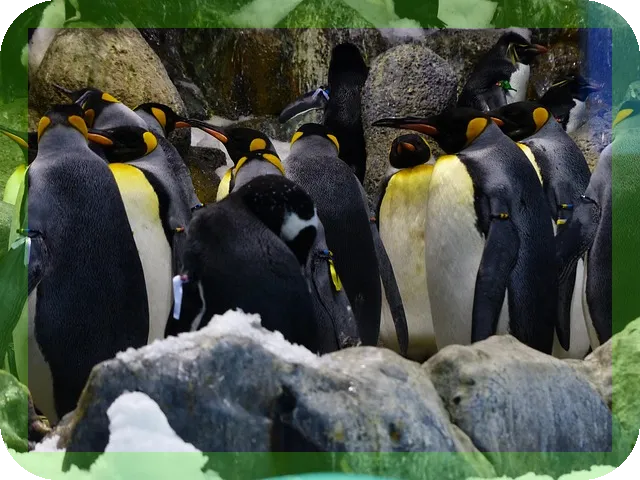 단호박 효능과 맛있게 먹는법, 알고 계셨나요