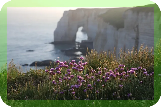동남아 크루즈여행지 추천 겨울에 가면 좋을까