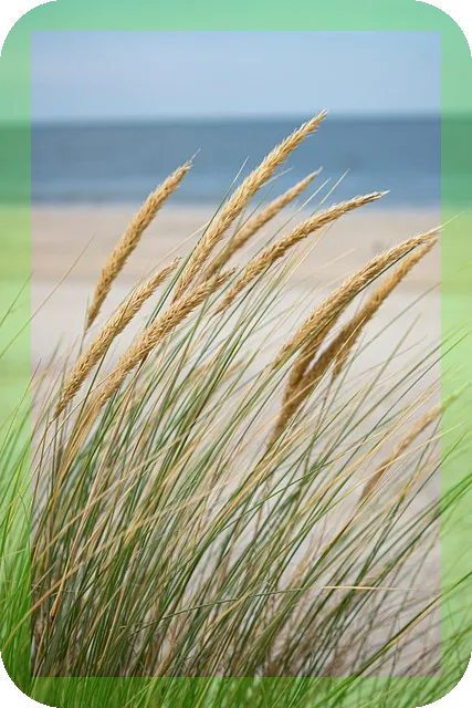 동남아 크루즈여행지 추천 겨울에 가면 좋을까