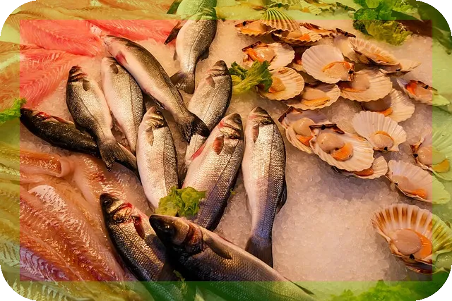 동물성단백질의 효과와 효능, 당신이 알아야 할 사실은