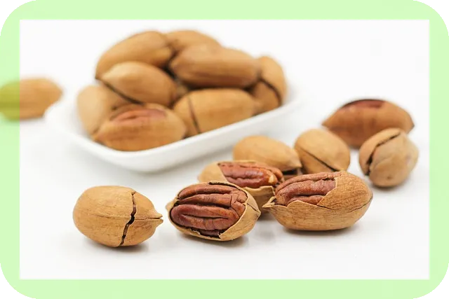 동물성단백질의 효과와 효능, 당신이 알아야 할 사실은