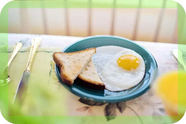 동물성단백질의 효과와 효능, 당신이 알아야 할 사실은