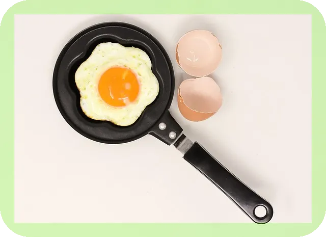 동물성단백질의 효과와 효능, 당신이 알아야 할 사실은