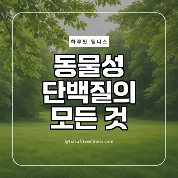 동물성단백질의 효과와 효능, 당신이 알아야 할 사실은