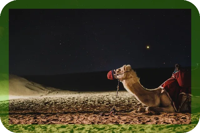 두바이 여행 완벽가이드로 꿈꾸는 특별한 휴가