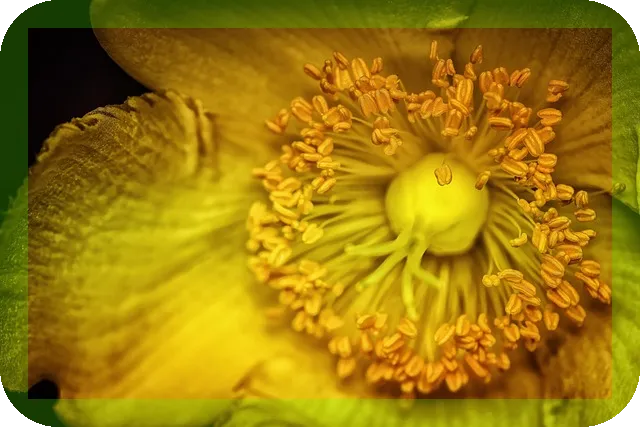 디스크수술 전후 필수 관리가이드 꼭 알아야 할 사항은