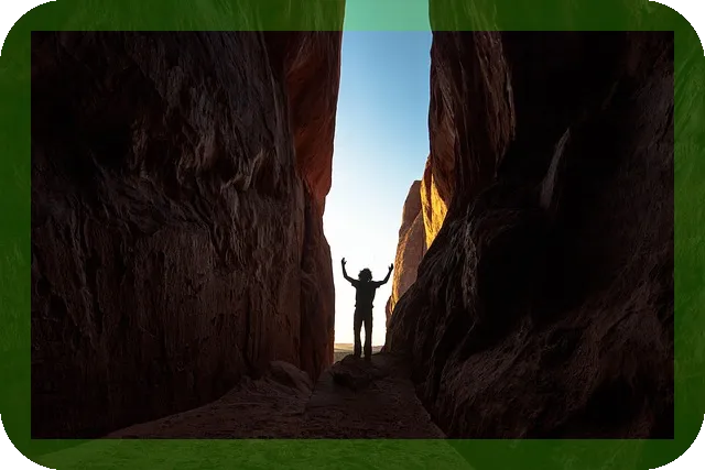 라파마이신 항노화의 키 모든 것 알아보자