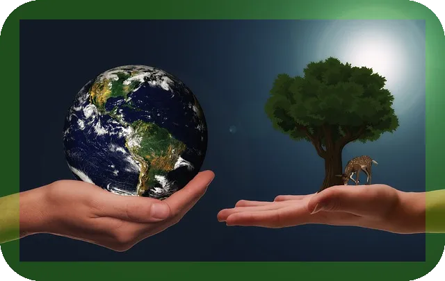 라파마이신 항노화의 키 모든 것 알아보자