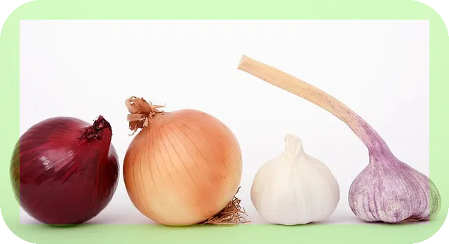 마늘 항산화 효과 얼마나 강력한가