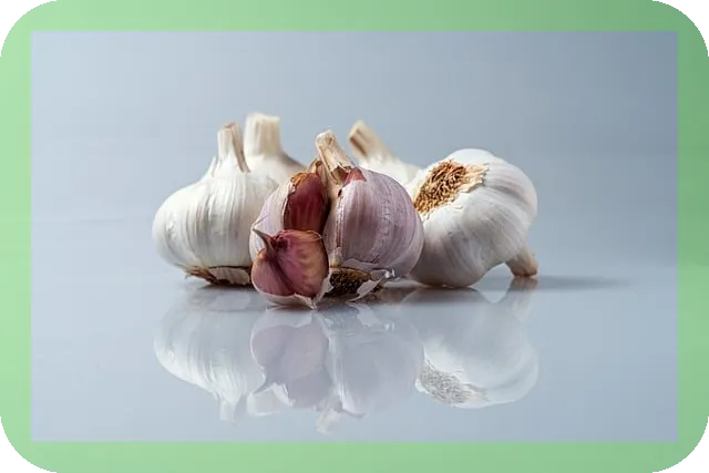 마늘 항산화 효과 얼마나 강력한가