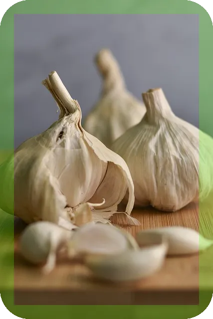 마늘 항산화 효과 얼마나 강력한가