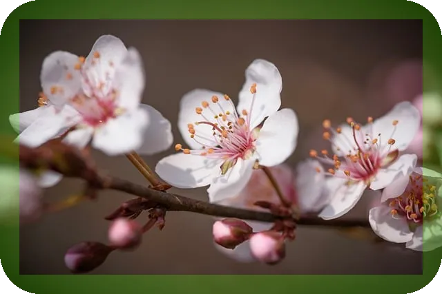 매일 간편한 아침식단은 어떻게? 건강한 중년식사법