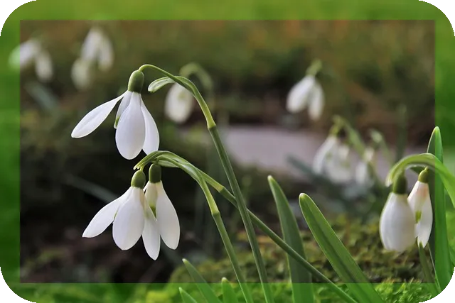 머리가 지끈 두통 대처법, 편두통의 원인은?