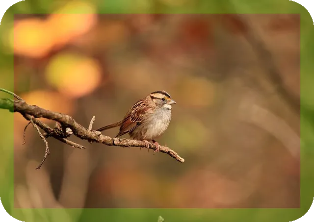 목통증 대처방법과 병원선택, 두통의 원인은?