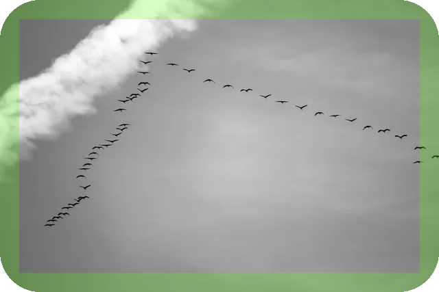 보령 여행코스와 여행추천시기, 어디가 좋을까