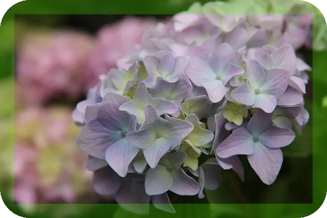복어국 효능과 영양을 알아볼까요
