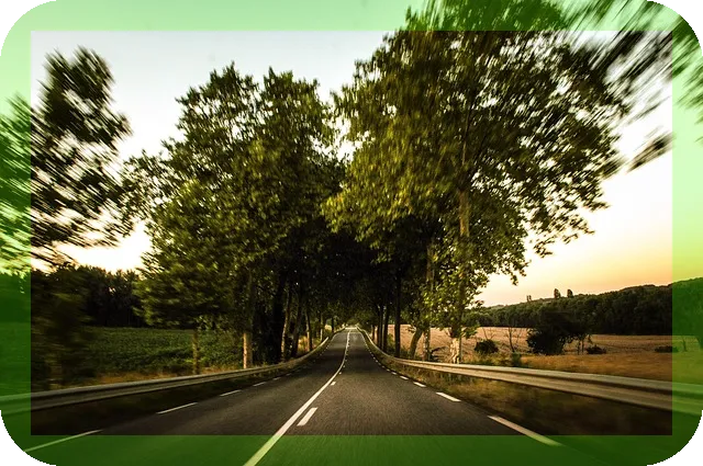 부모님 헬스장PT 도움될까요 웃음 가득한 운동 시작하기