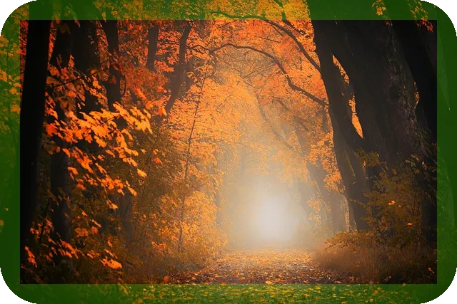 부모님 여행지 추천 단풍길 어디가 좋을까