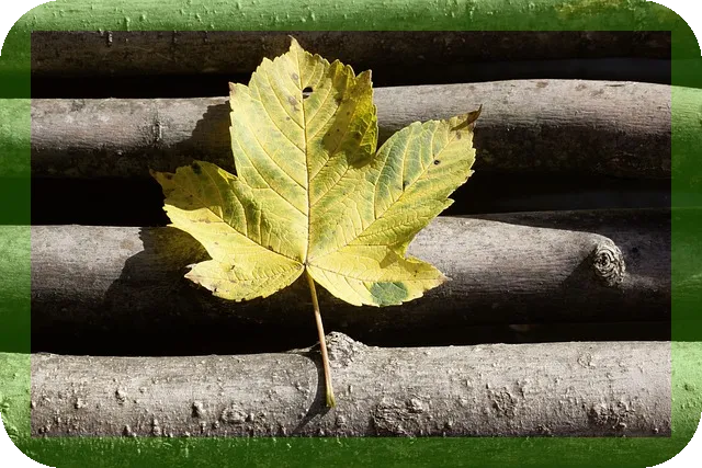 부모님 여행지 추천 단풍길 어디가 좋을까