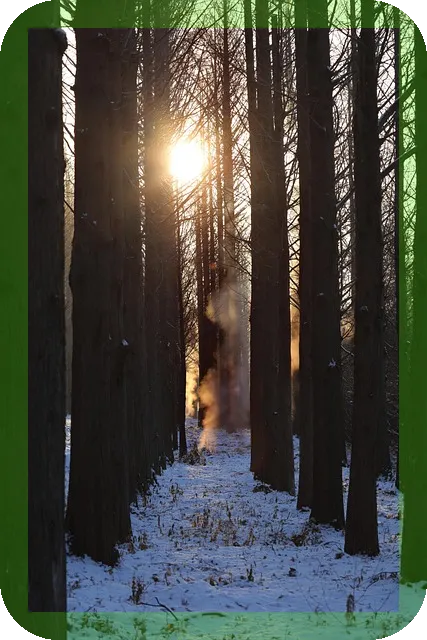 부모님 여행지 추천 단풍길 어디가 좋을까