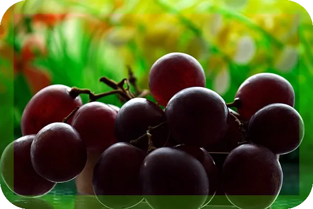 비트효능과 맛있게 섭취하는법과 주의점은 무엇일까