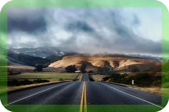 새송이버섯 효능과 맛있는 조리법 이렇게 활용해보세요