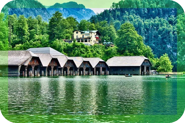 새송이버섯 효능과 맛있는 조리법 이렇게 활용해보세요