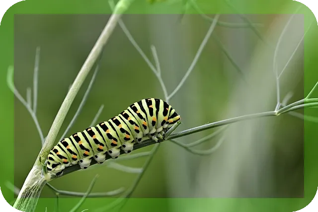 설사 이유와 대처방법, 당신은 알고 있나요
