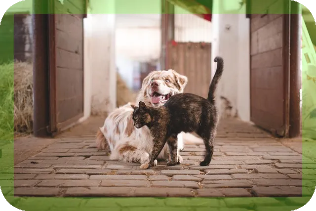 근육 풀어주는 셀프 스트레칭과 마사지 도구 활용법은?