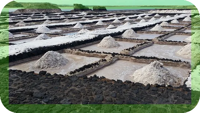 소금의 효능과 적정 섭취량 자세히 알아보기