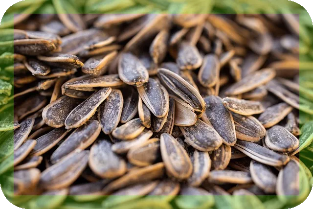 소금의 효능과 적정 섭취량 자세히 알아보기