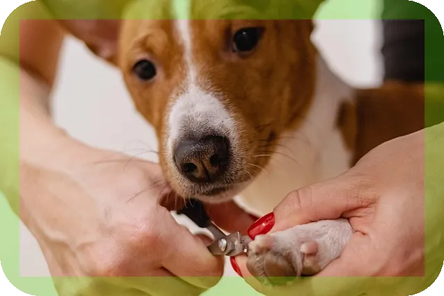 손톱에 줄이 생기는 이유와 대처법, 당신은 알고 있나요