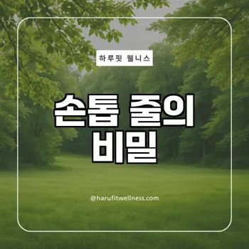 손톱에 줄이 생기는 이유와 대처법, 당신은 알고 있나요