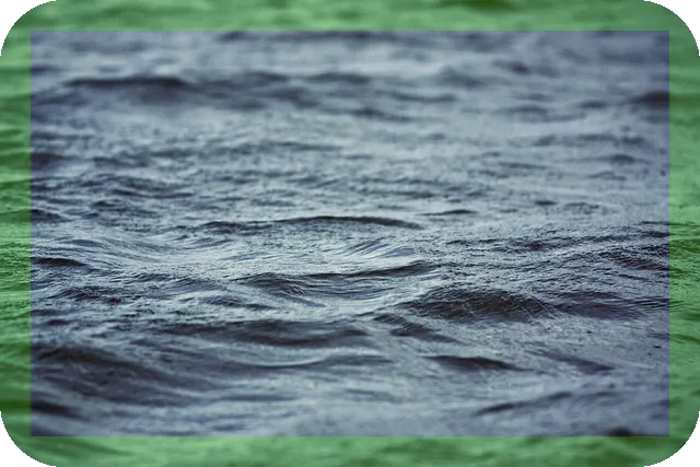 잠을 잘자야 오래 사는 이유, 수명과 건강은?