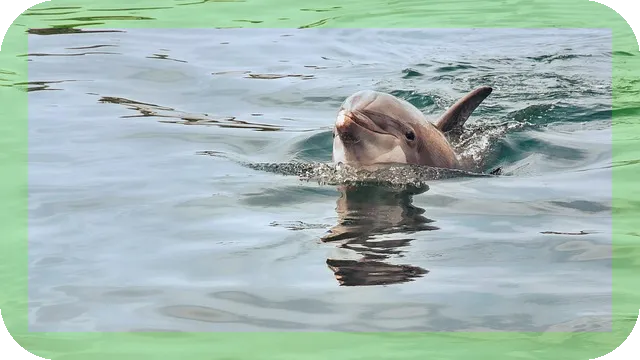 스위스 여행 코스추천과 여행문화, 당신의 완벽한 스위스 여행은?