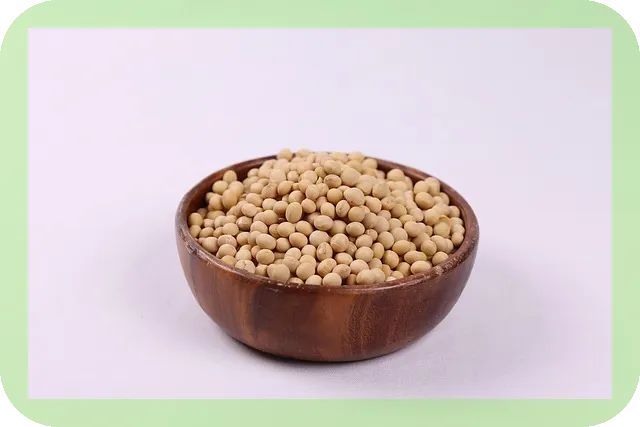 식물성단백질을 포함한 음식, 당신은 얼마나 알고 있나요