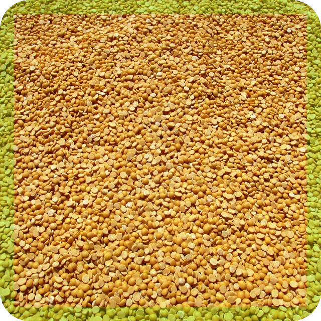 식물성단백질을 포함한 음식, 당신은 얼마나 알고 있나요