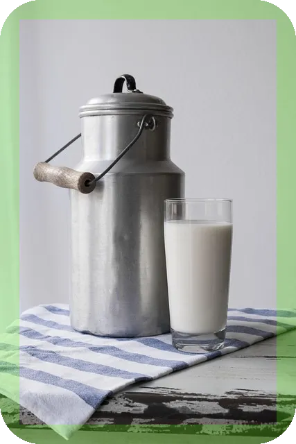 식물성단백질을 포함한 음식, 당신은 얼마나 알고 있나요