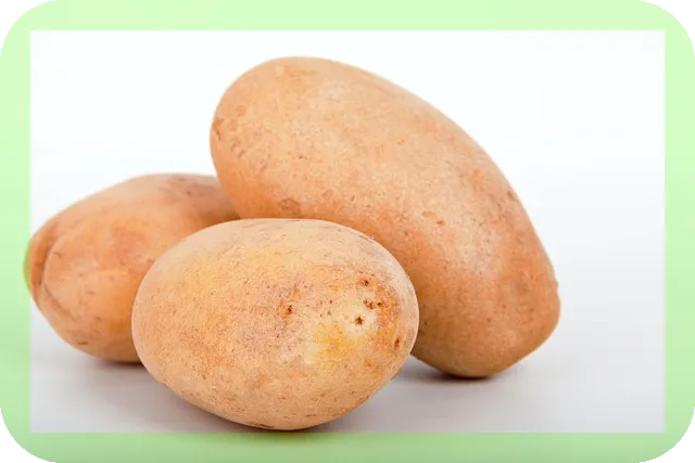 신선한채소 섭취가 항노화에 도움되는 이유