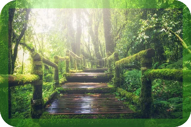 심장통증 이유와 대처방법은?