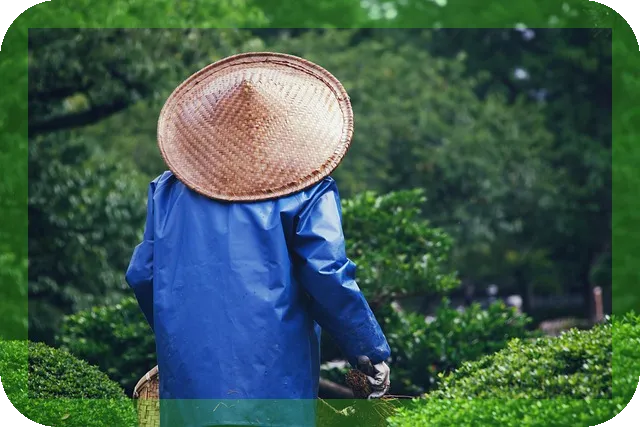 아보카도와 바나나로 만드는 건강한 간식 팁은?