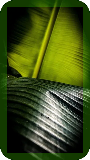 아보카도와 바나나로 만드는 건강한 간식 팁은?