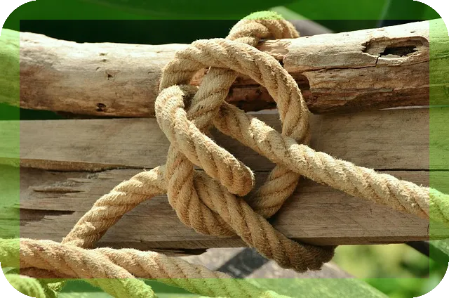 사과가 아침에 먹으면 좋은 이유, 진짜일까